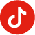IC_TIKTOK