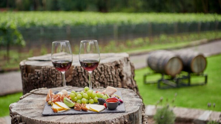 Viñedos en Parejas.