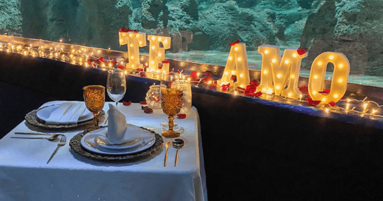 Cenas románticas Acuario Michin Guadalajara 2024