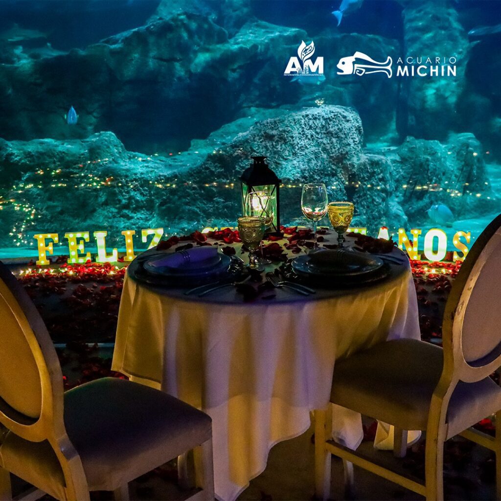 cenas románticas en guadalajara en el acuario michin este 14 de febrero 2024