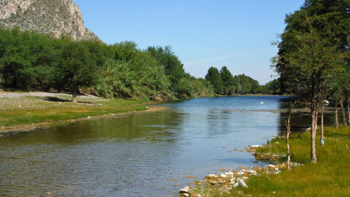 El Fondo de Agua de La Laguna A. C., anunció los proyectos que obtendrán financiamiento integral tras su convocatoria pública realizada el pasado mes de abril. 