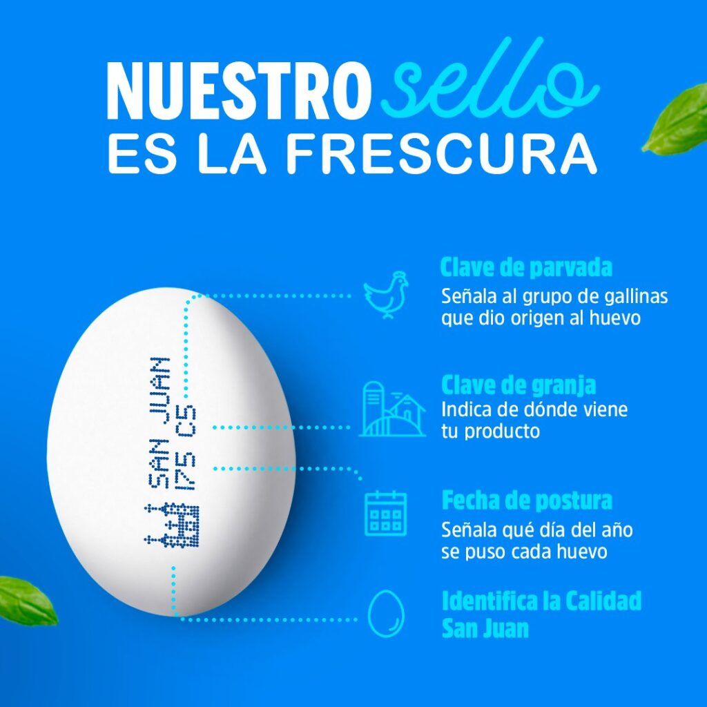 cómo saber si un huevo está fresco o echado a perder