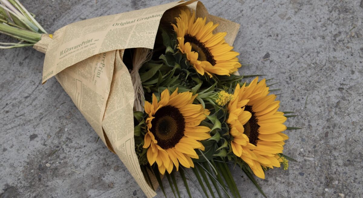 ¿Qué significa que te regalen flores amarillas el 21 de marzo? Aquí los detalles