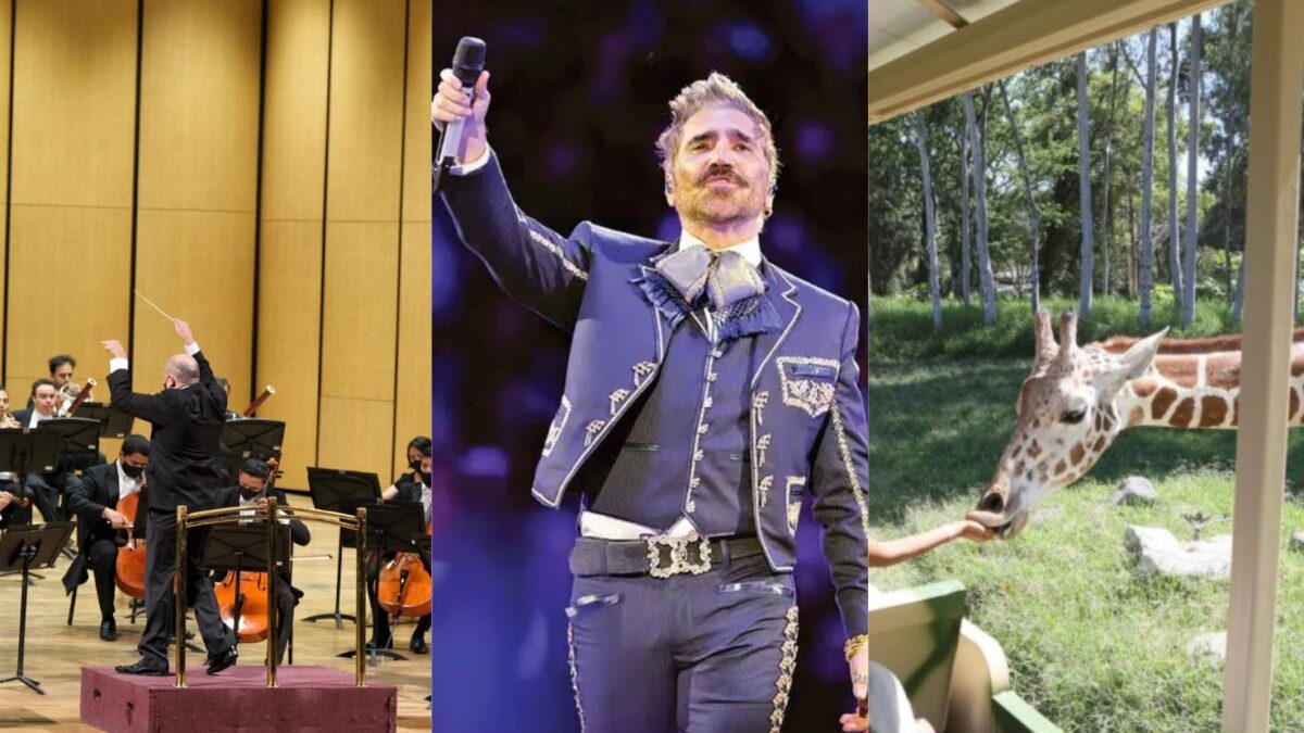 Eventos en Guadalajara este fin de semana: Música, cultura y entretenimiento