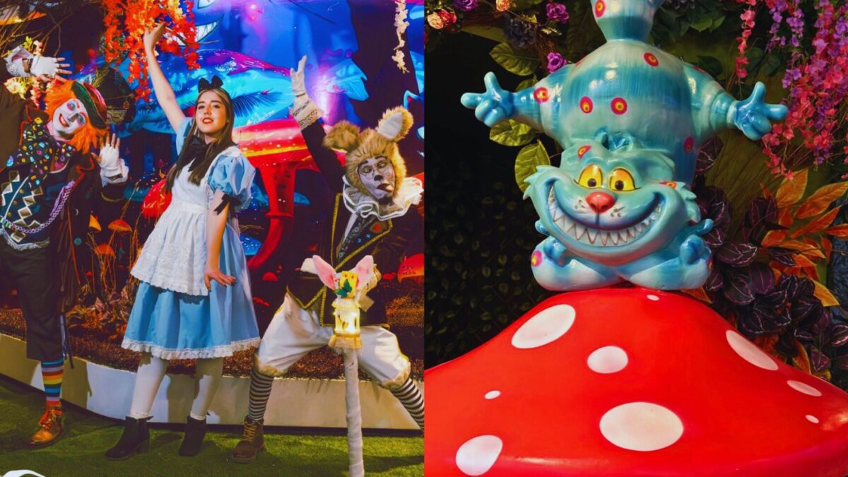 Conoce todos los detalles sobre 'Alicia a través de los sueños' en Guadalajara