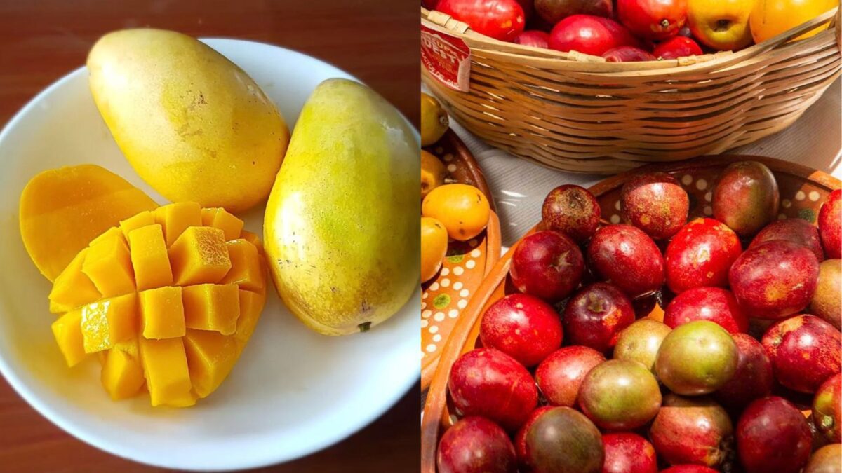 Fiesta del Mango y la Ciruela 2025 en Tequila: Así será el magno evento gastronómico