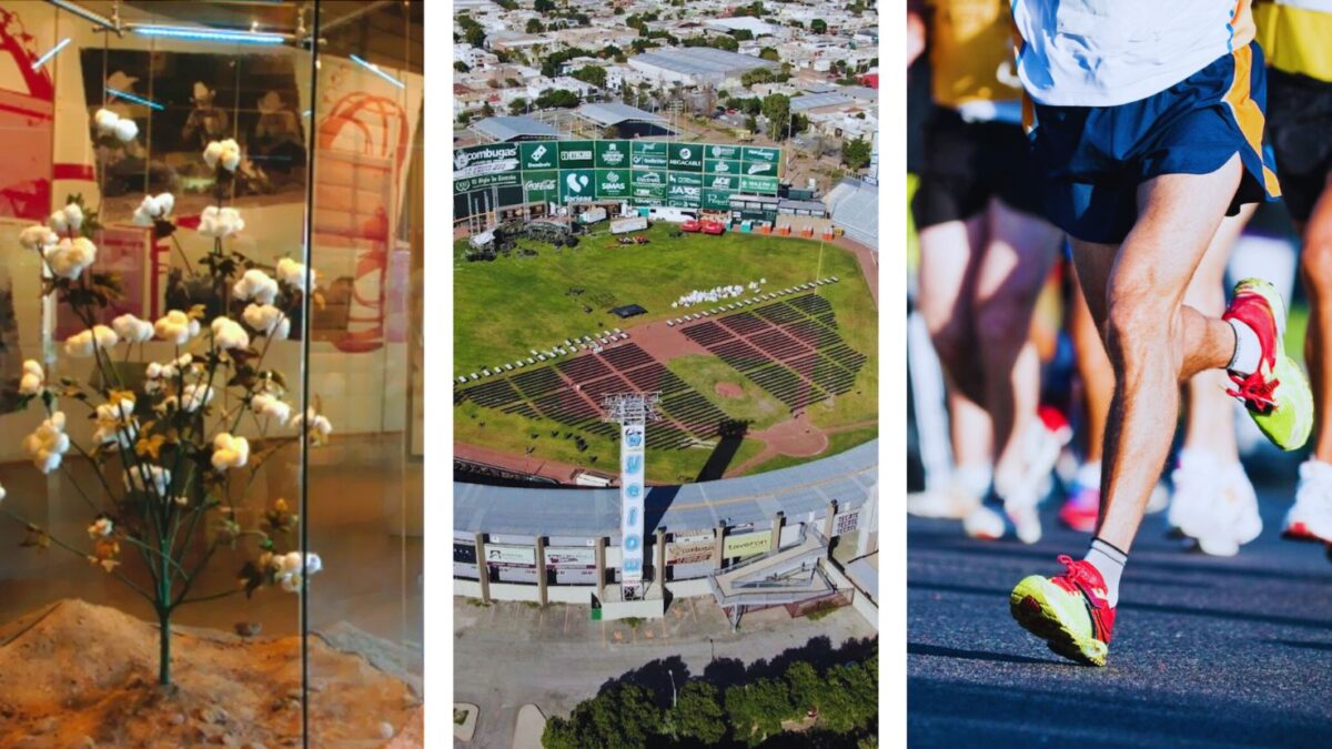 Torreón vibra este fin de semana: conciertos, carreras y más eventos