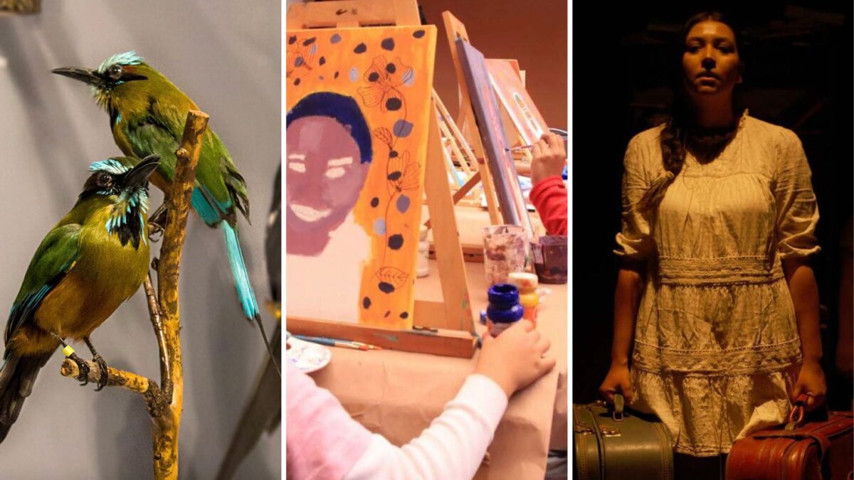 Fin de semana en Saltillo: Cultura, música y planes únicos del 6 al 8 de junio