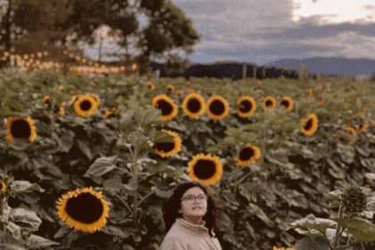 A solo 50 minutos de Saltillo, vive un día entre girasoles, bicicletas y naturaleza en San Antonio de las Alazanas