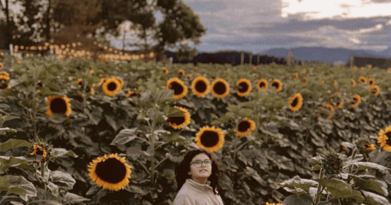 A solo 50 minutos de Saltillo, vive un día entre girasoles, bicicletas y naturaleza en San Antonio de las Alazanas