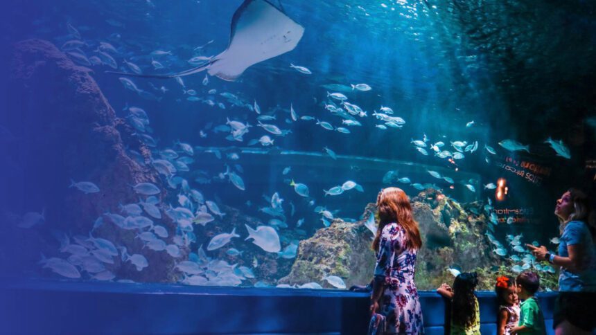 Acuario Michin Guadalajara lanza precios especiales por tiempo limitado