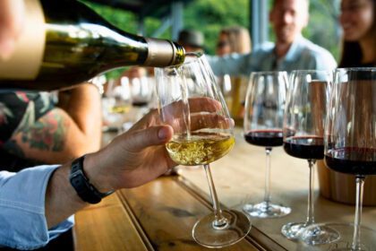 Calendario de vendimias agosto 2025: Coahuila entre vino y fiesta