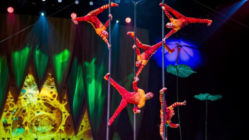 Cirque du Soleil Guadalajara 2025: OVO llegará a la Arena VFG