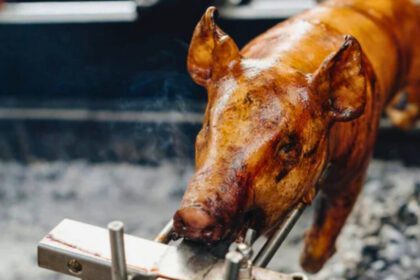 Tradición y sabor: Llega el Primer Lechón Fest a Coahuila este 16 de agosto