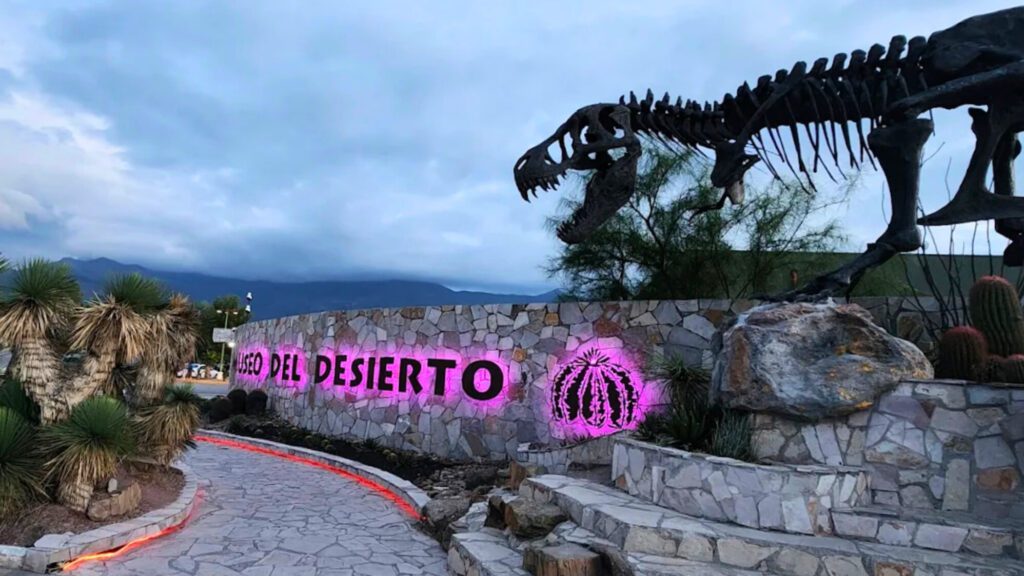 Regresa la Noche de Linternas al Museo del Desierto: Todo sobre la edición 2025