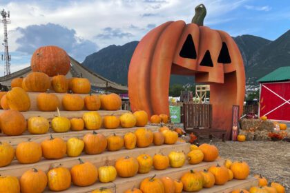 Pumpkin Dash 2025 llega por primera vez a Torreón: Esto se sabe