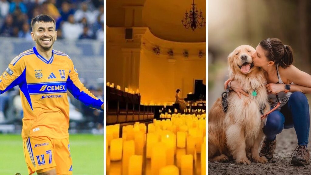 Monterrey en agosto: guía de eventos para el segundo fin de semana