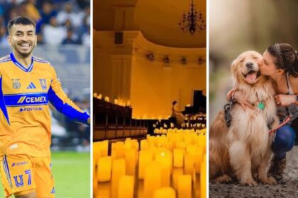 Monterrey en agosto: guía de eventos para el segundo fin de semana