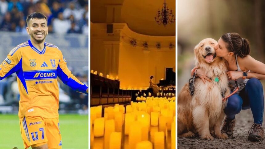 Monterrey en agosto: guía de eventos para el segundo fin de semana