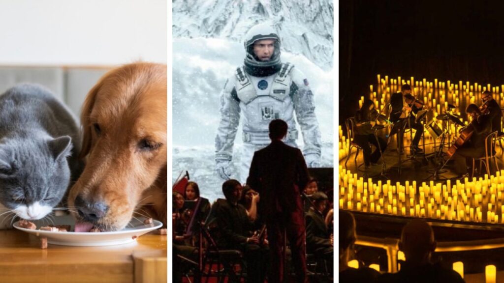 Agenda cultural para el fin de semana en Guadalajara: Eventos del viernes 27 al domingo 29 de junio