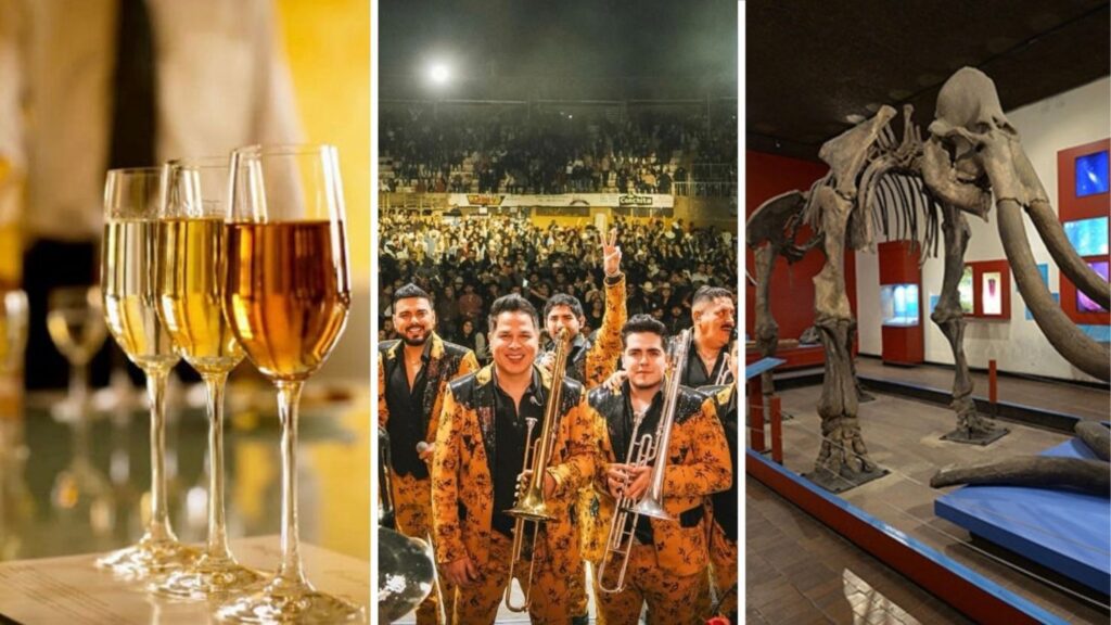 Planes en Guadalajara para este 11, 12 y 13 de julio