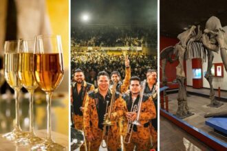 Planes en Guadalajara para este 11, 12 y 13 de julio