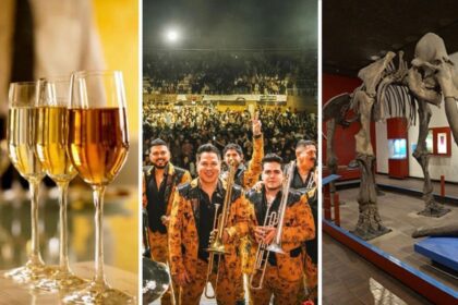 Planes en Guadalajara para este 11, 12 y 13 de julio