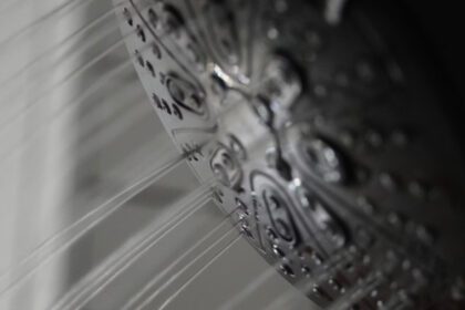 Regaderas que ahorran agua y dinero: así fue la entrega de 10 mil piezas en Torreón