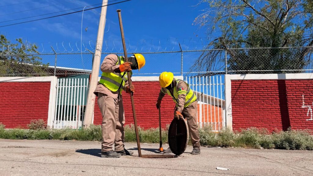 ¿Cómo reportar a SIMAS Torreón? Aquí los canales oficiales