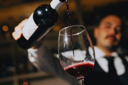 Vendimias en Coahuila 2025: Vive la historia y las mejores fiestas del vino en México