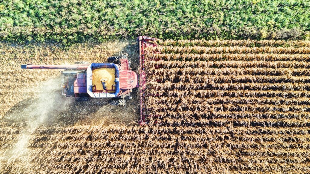 Jorge Reyes, presidente de COPARMEX Laguna, considera que 2025 fue un año positivo para el sector agrícola.