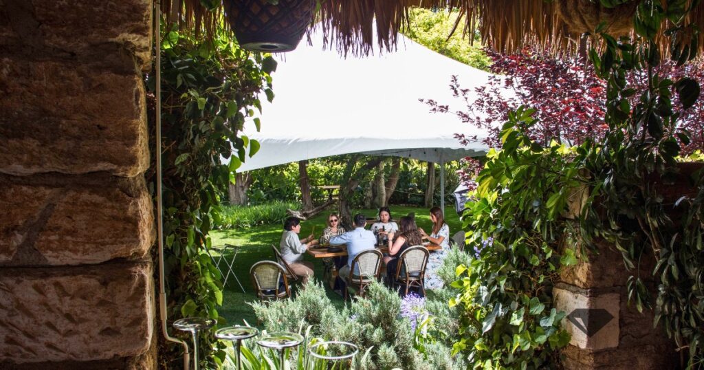 Bodegas del viento: Entre montañas, viento y vino