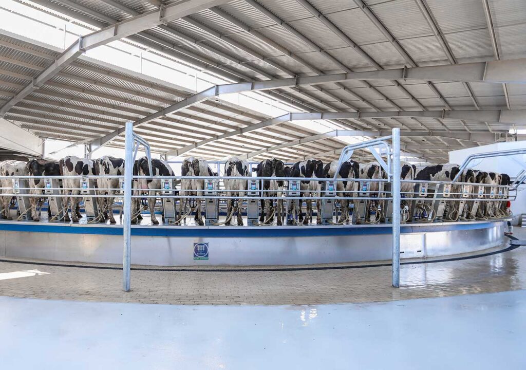 Madero Equipos de Ordeño.