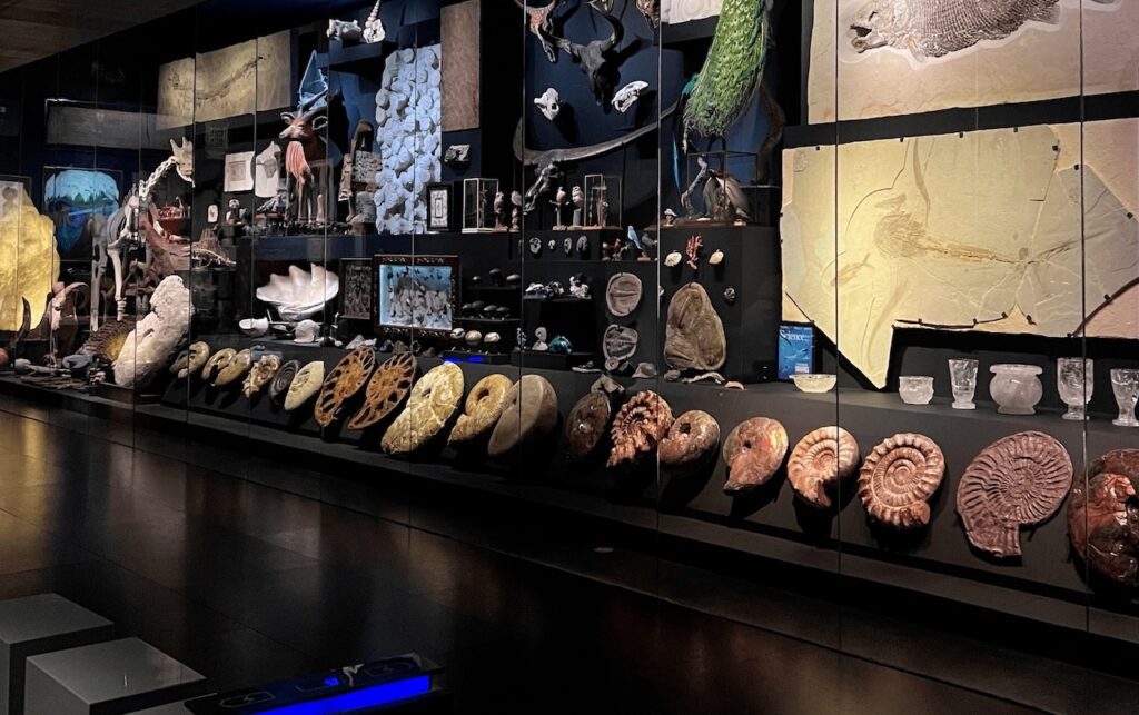 Mauricio Fernández y La Milarca: El museo que lo inmortaliza en San Pedro