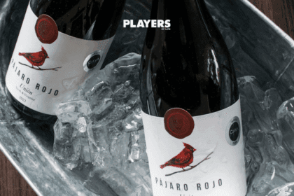 Hacienda San Francisco | El viñedo familiar que posiciona a Saltillo en el mapa vitivinícola de México