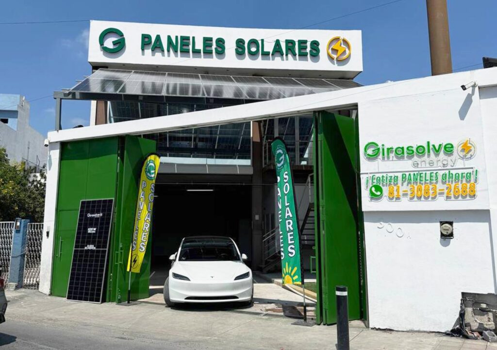 Energía que florece: Girasolve 