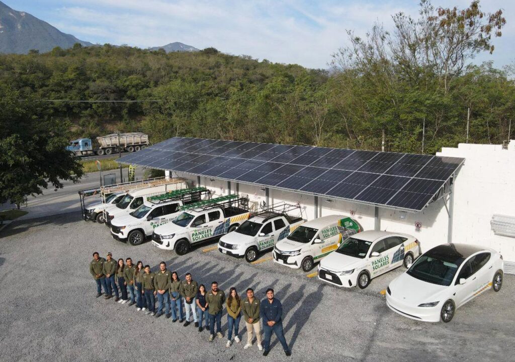 Energía que florece: Girasolve 