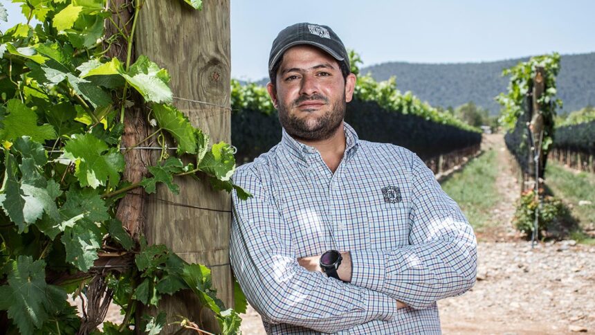 La visión de Bodegas del Viento es clara: no buscan ser los más grandes, sino convertirse en un clásico del vino mexicano.