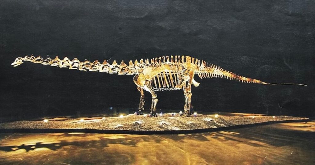 El fósil Einstein tendrá su propia póliza: San Pedro resguarda pieza valuada en 12 mdd