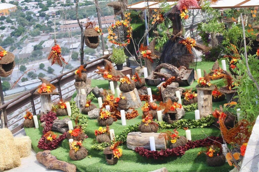 Puerto Noas se viste de otoño con una nueva exposición en La Laguna