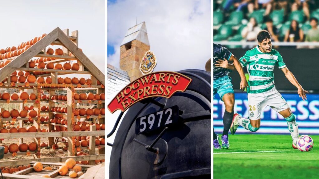 Torreón vibra este fin de semana con música, ferias y eventos especiales