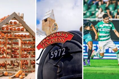 Torreón vibra este fin de semana con música, ferias y eventos especiales