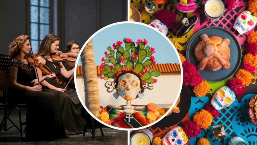 Qué hacer en Saltillo este fin de semana: Las mejores actividades