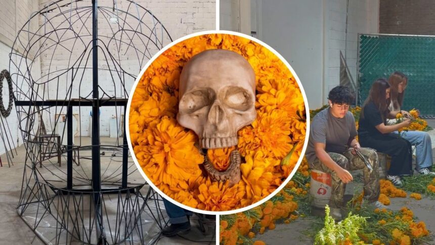 UMBRAL: La calavera de cempasúchil que florece en Torreón