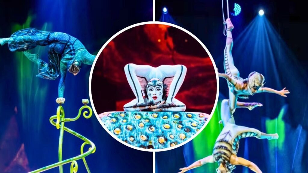 OVO de Cirque du Soleil llega a Guadalajara: Fechas y más detalles