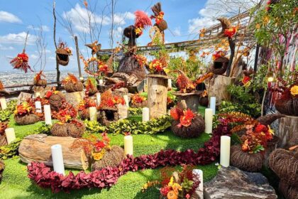 Puerto Noas presenta su nueva Exposición de Otoño