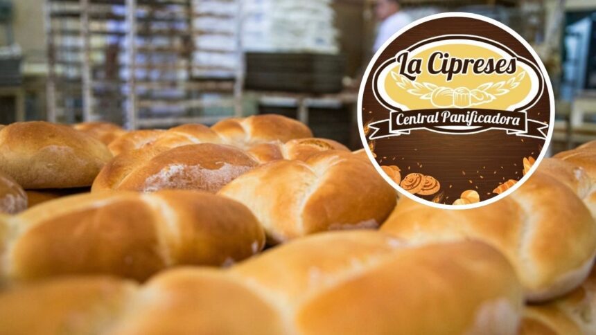 La Cipreses celebra el Día del Pan Francés con 36 años de historia