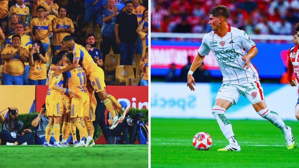 Tigres vs Necaxa: Horario y transmisión EN VIVO