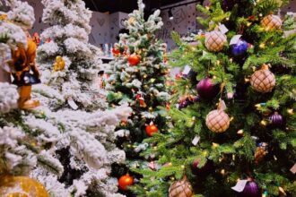 Guadalajara se ilumina con el Tianguis Navideño del Parque El Refugio 2025