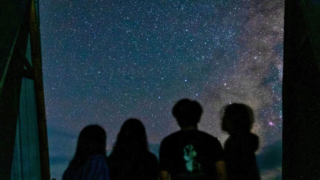 Noche de las Estrellas 2025 en Torreón: todos los detalles